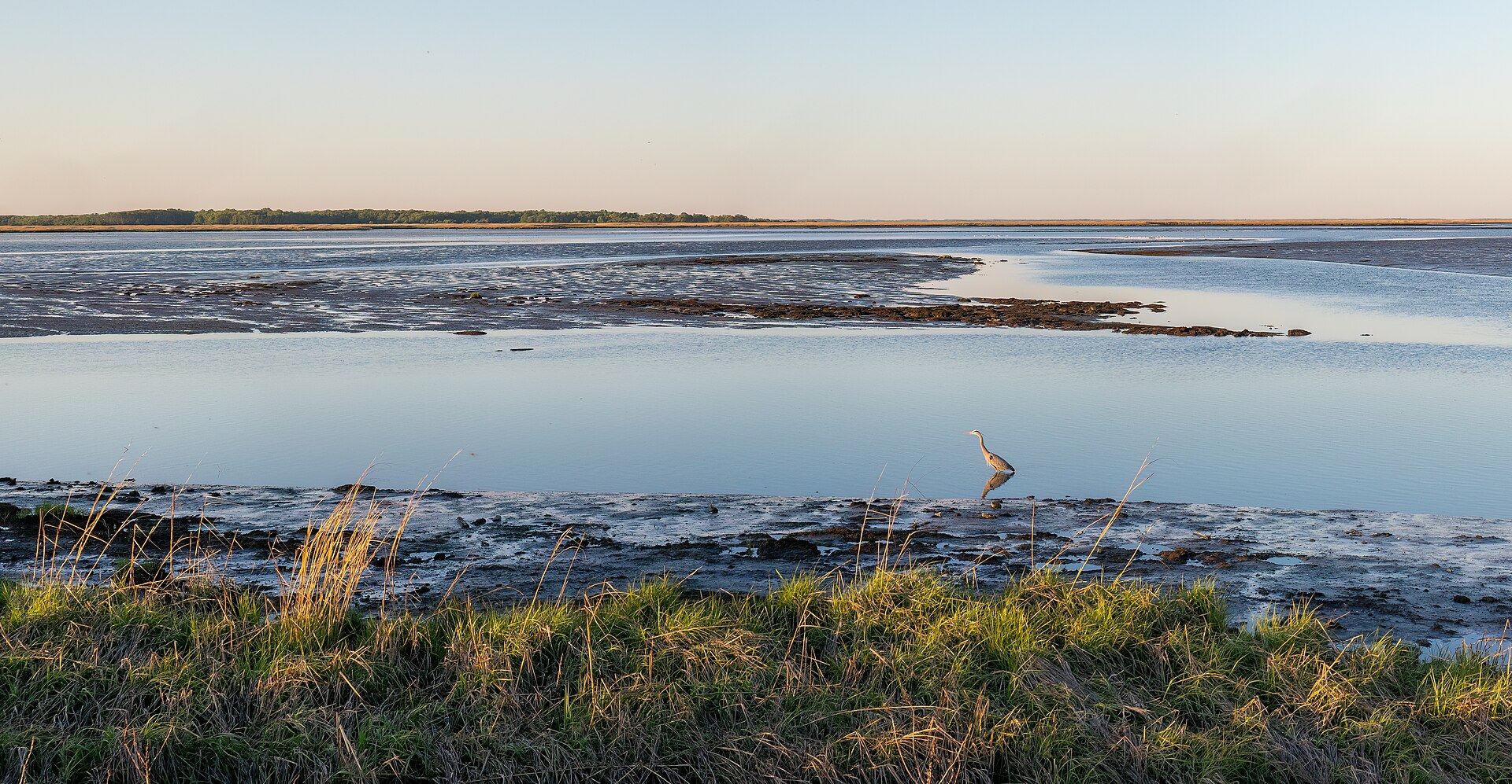 Tidal marsh at Bombay Hook National Wildlife Refuge in Kent County, Delaware