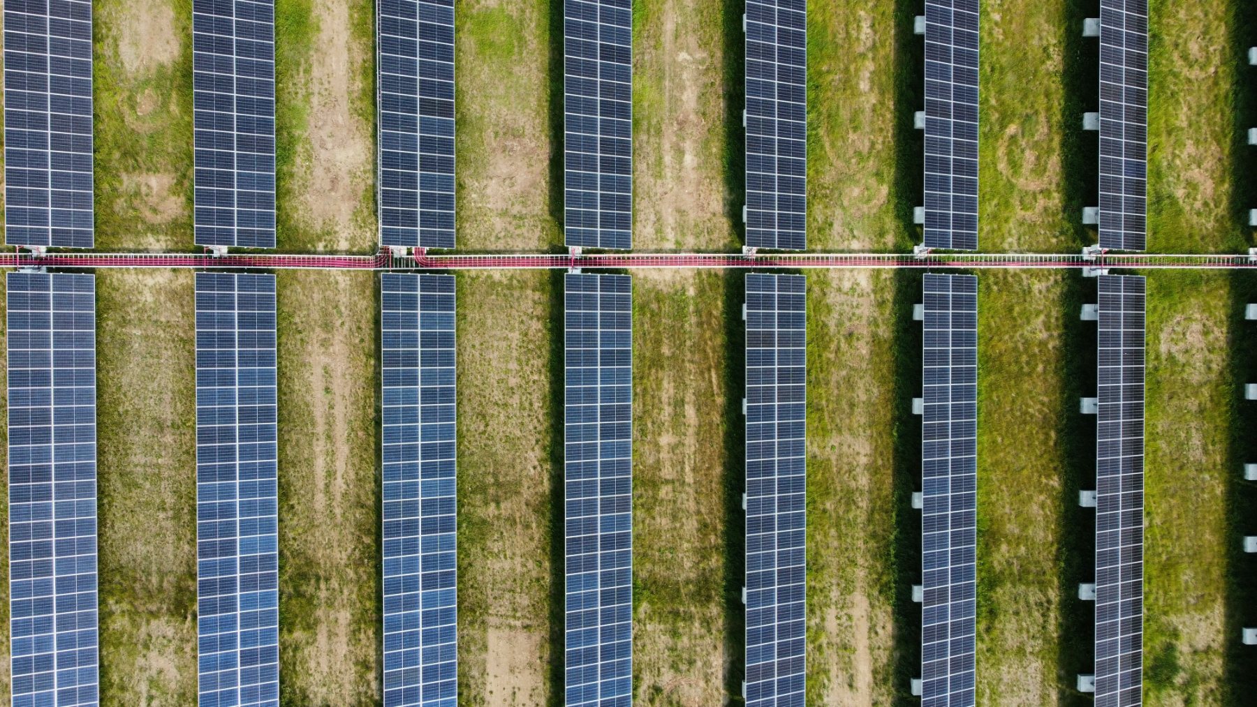 An aerial view of a community solar farm, long rows of panels with strips of grass growing between them