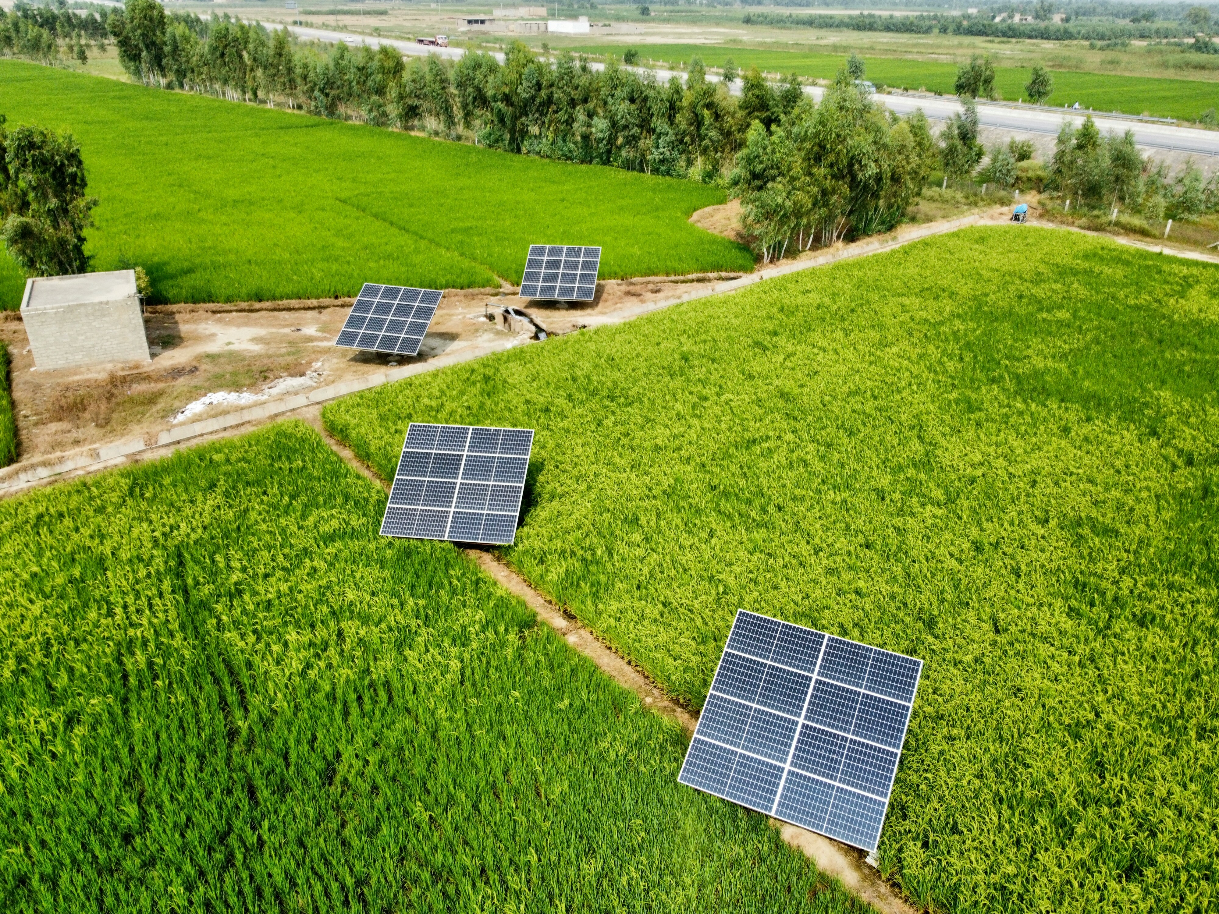 Solar farm in Maryland